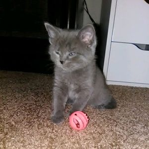 Meet your Posher, Cassie